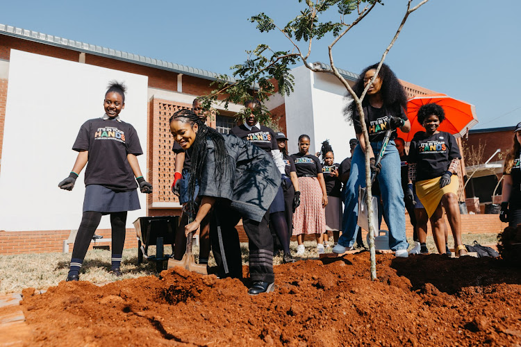 Nomzamo Mbatha assisting to plant a tree.