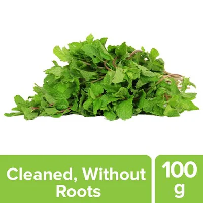 Mint Leaves - 100 gm