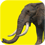 Elephant games free  Icon