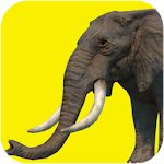 Elephant games free Apk