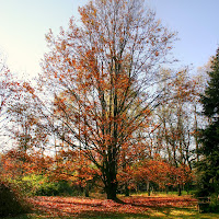 I colori dell'autunno di 