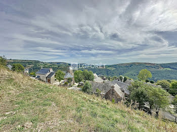 terrain à Saint-Geniez-d'Olt (12)