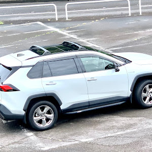 RAV4 AXAH54