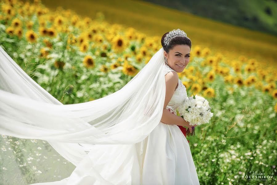 結婚式の写真家Vladimir Kolesnikov (photovk)。2017 4月26日の写真