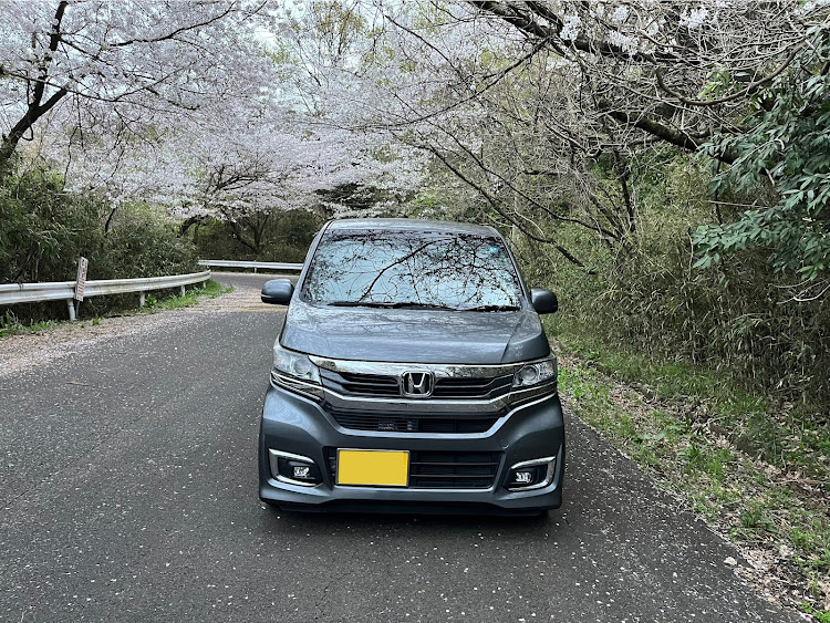 N-WGN カスタムのサクラと愛車に関するカスタム事例の投稿画像4枚目