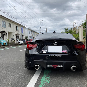 86 ZN6