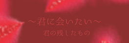 〜君に会いたい〜  君の残したもの