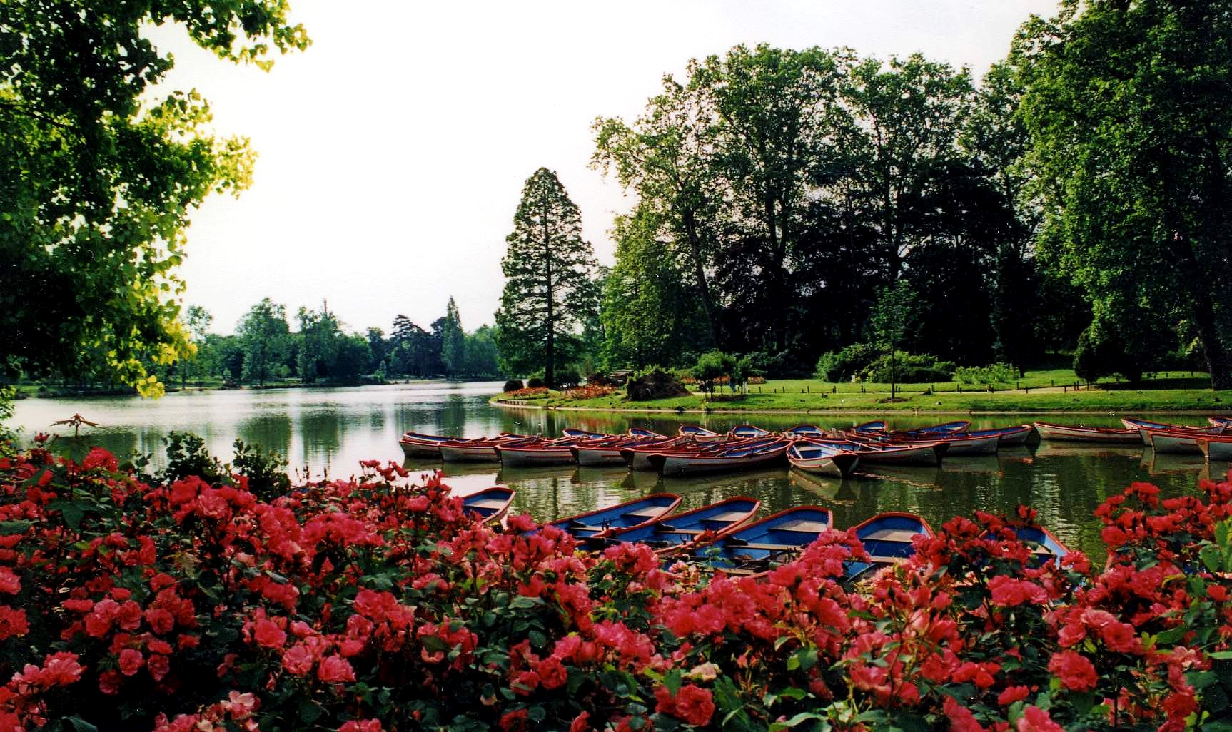 Lake of roses di Francesca Malavasi