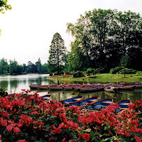 Lake of roses di 