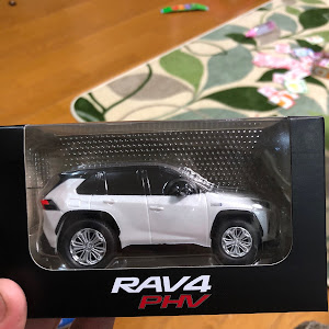 RAV4 AXAH54