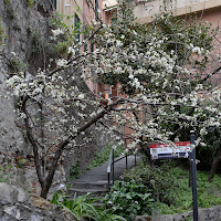 Primavera in città di 