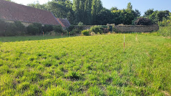 maison neuve à Ardres (62)