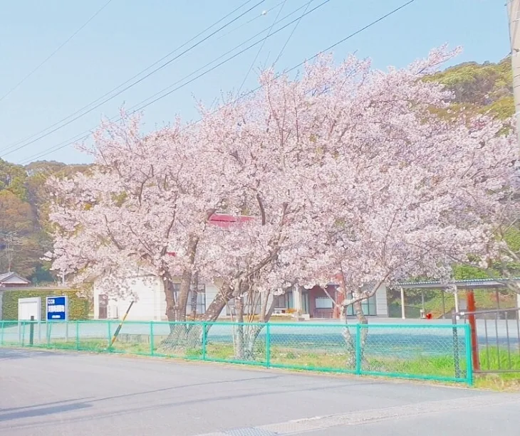 「祝入学」のメインビジュアル