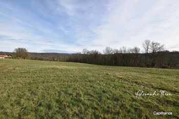 terrain à Neuville-sur-Ain (01)