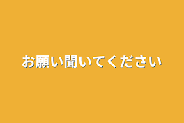 お願い聞いてください