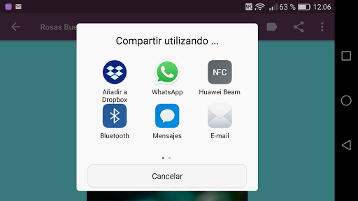 Rosas de Buenas Noches