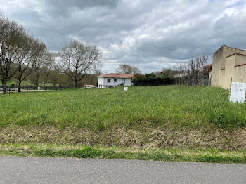 maison neuve à Viviers-lès-Montagnes (81)