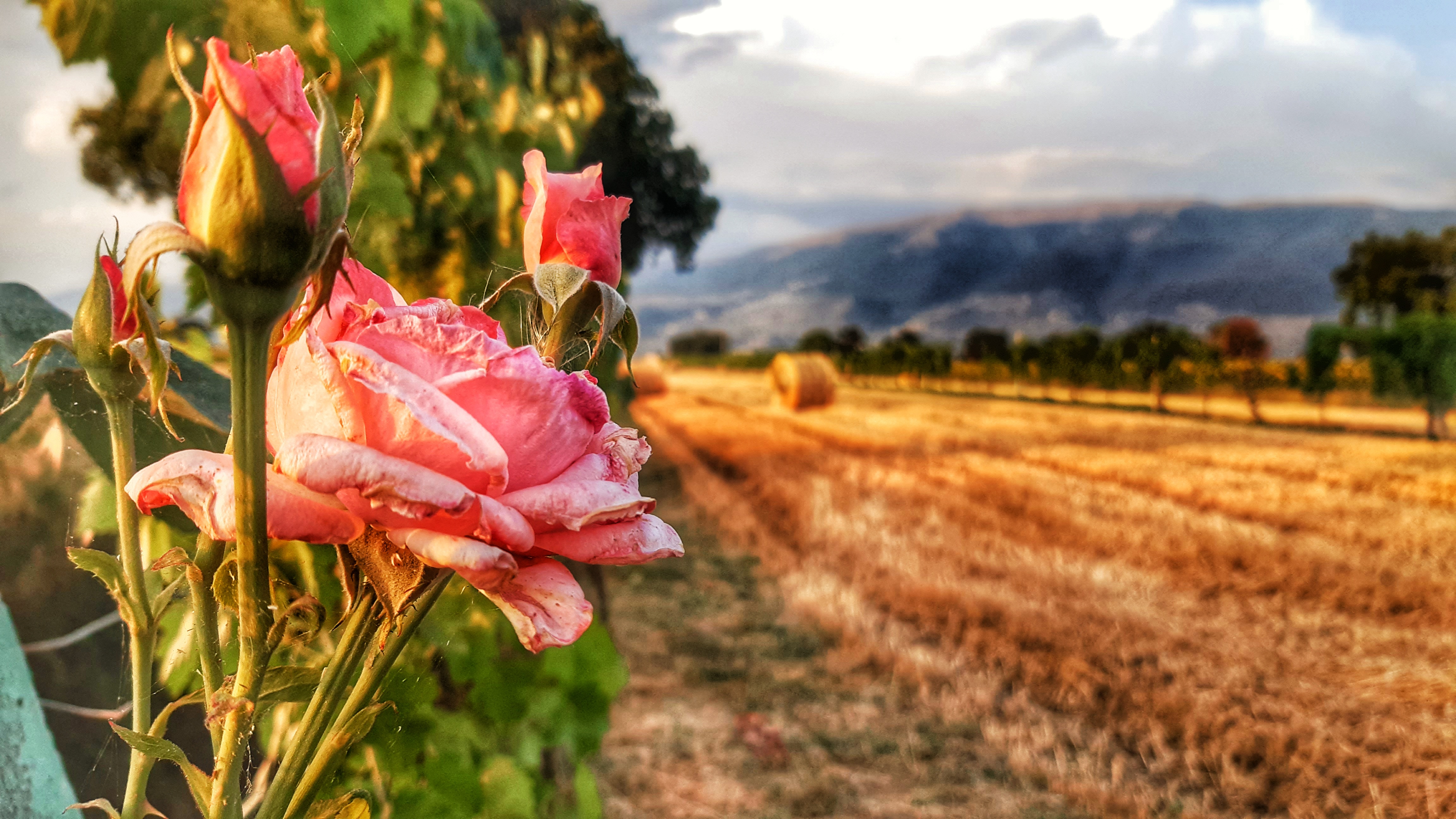 Umbria di GabrieleSalvo