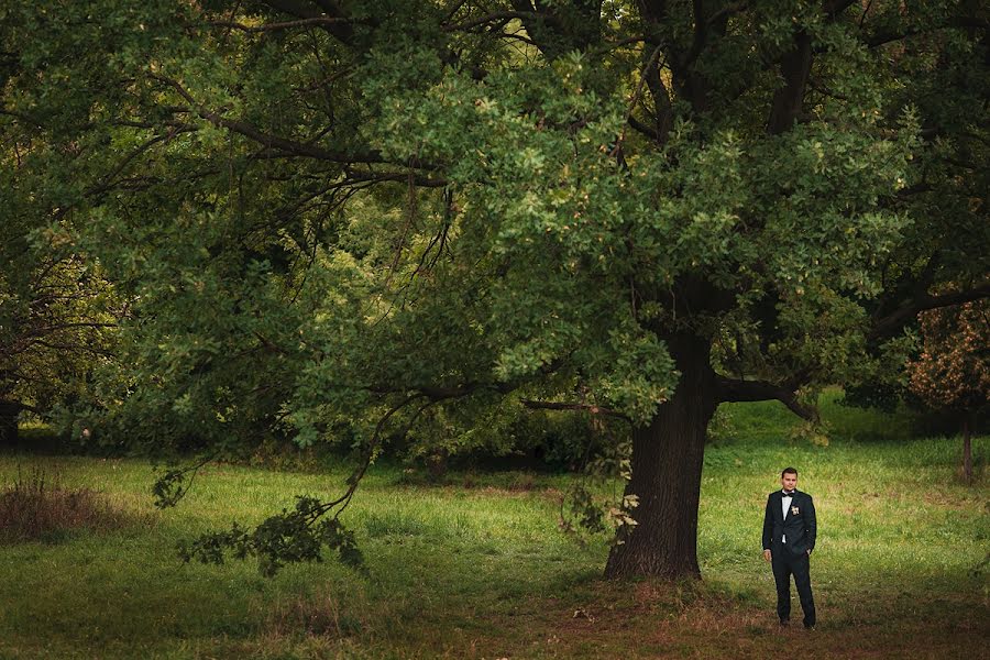 Vestuvių fotografas Viktoriya Petrenko (vi4i). Nuotrauka 2013 rugpjūčio 28