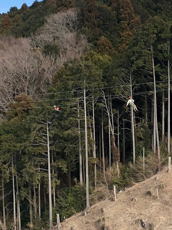 の投稿画像22枚目