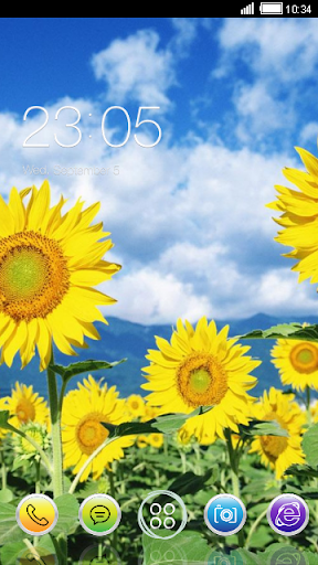 Sunflowers CLauncher Theme