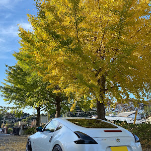 フェアレディZ Z34