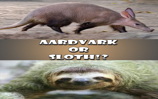 Aardvark or Sloth!? chrome extension