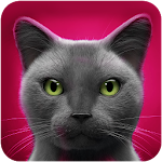 Cover Image of Descargar Gato que habla 1.1.6 APK