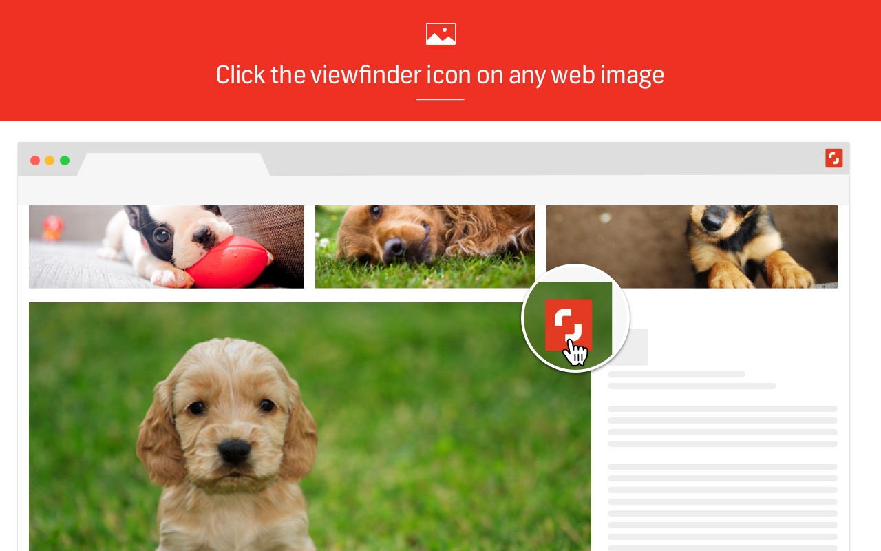 Shutterstock Reveal Preview image 4