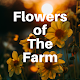 Download Flowers of The Farm For PC Windows and Mac 1.0