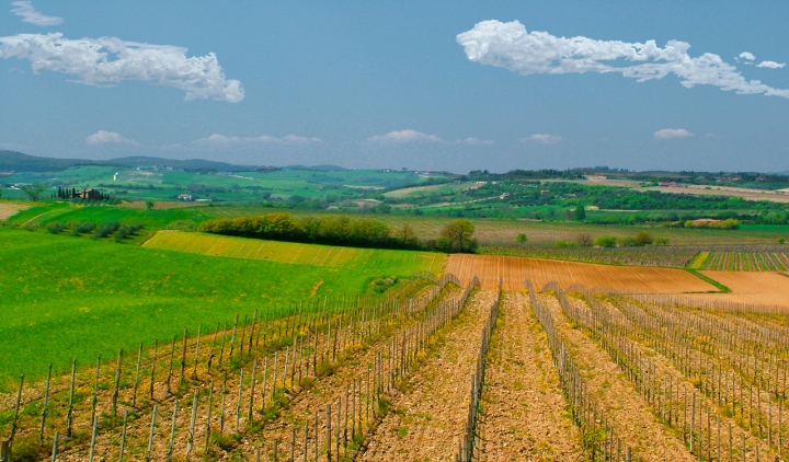 Tracce contadine di Ciotta