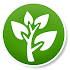 Medicinal Plants1.52