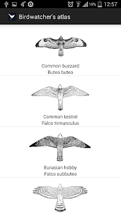 Atlas of a birdwatcher FREE Screenshots 11