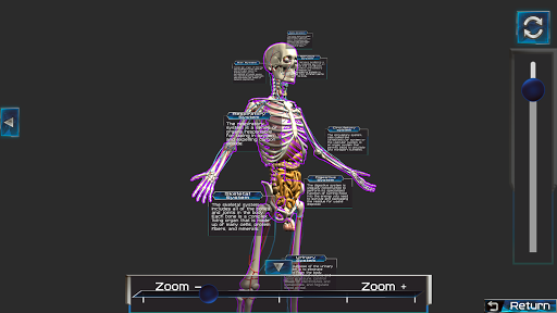 Screenshot Human Body & Anatomy Parts