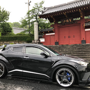 C-HR ZYX10