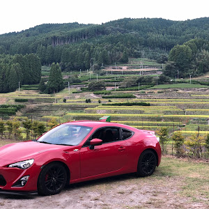 86