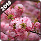 Download Spring Wallpaper For PC Windows and Mac 1.0