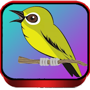 TERAPI PLECI MASTER 3.1 Icon