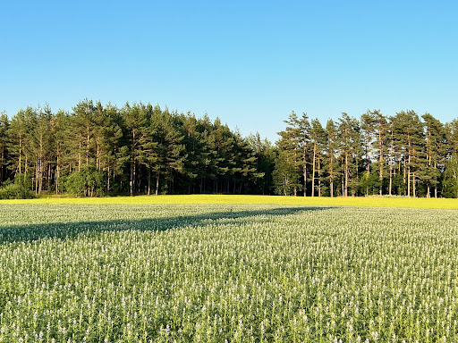 frische Luft atmen