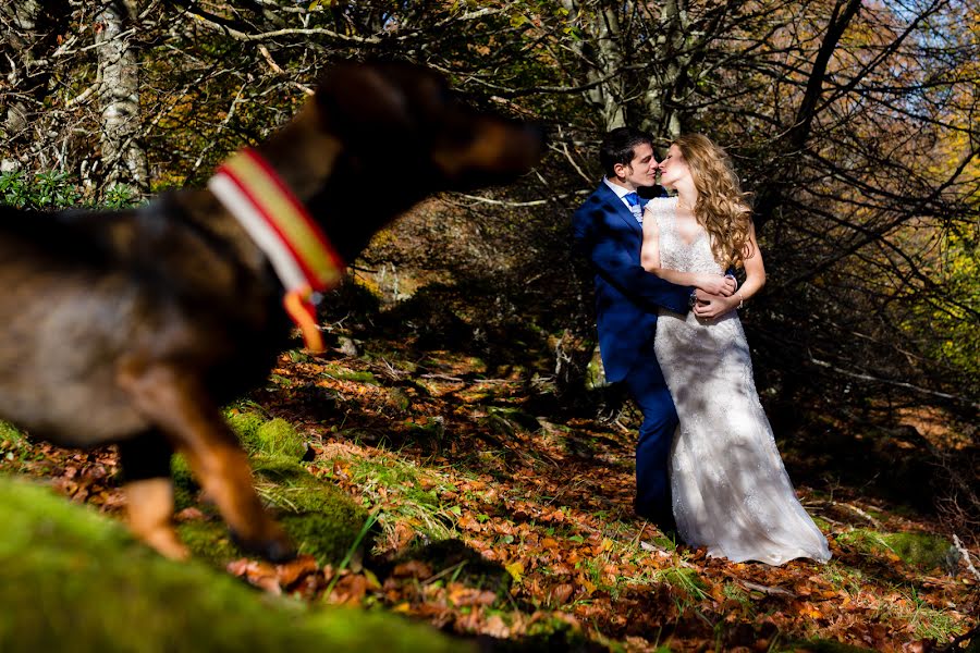 Fotografo di matrimoni Chomi Delgado (chomidelgado). Foto del 24 dicembre 2017