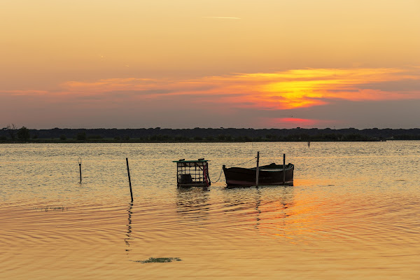 Golden Hour in "Pialassa" di Bitop62