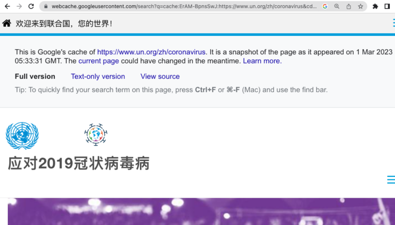 investigating-online-Google-search-engine-caches-2