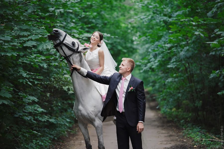 Wedding photographer Pavel Shevchenko (pavelsko). Photo of 19 August 2013