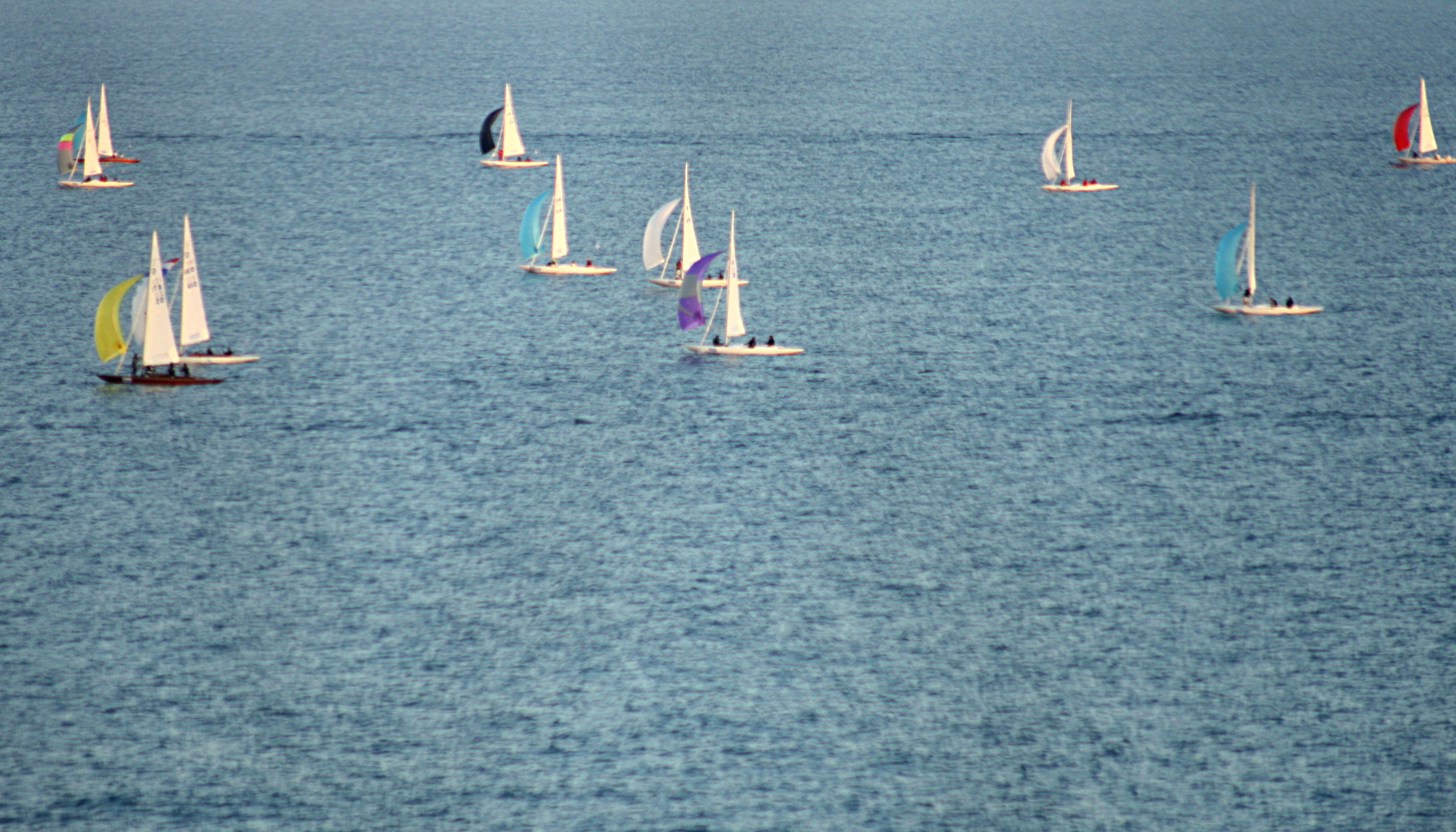 regata di primavera di amaranto21