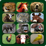 Cover Image of Télécharger Sons d'animaux 1.1 APK