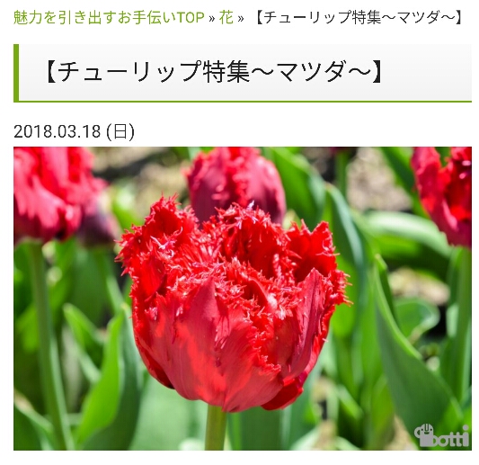 ロードスターのな8さんが投稿したカスタム事例の投稿画像1枚目