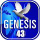 Download Genesis 43 For PC Windows and Mac 1