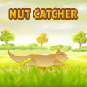 Nut Catcher Chrome extension download