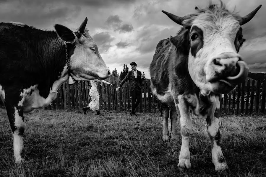 Vestuvių fotografas Claudiu Veres (claudiuveres). Nuotrauka vasario 19