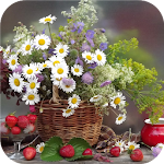 Cover Image of ダウンロード Flowers.Daisies.Live wallpaper 1.0 APK